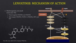 Finn RS, et al. ASCO 2014. Abstract TPS4153.
O
O
CI
H
N
H
N
N
H2N
O
O
VEGFR FGFR
Angiogenesis
X
T202/Y204
S235/S236
T389
T421/S424
RAS
RAF
MEK
ERK1/2
Lenvatinib
PI3K
AKT
mTOR
S6K
S6
P
P
P
P
 