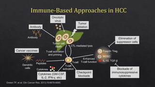 Greten TF, et al. Clin Cancer Res. 2013;19:6678-6685.
Tumor
ablation
Antibody
Dendritic
cells
Peptides
Cytokines
T-cell activation
and priming
CTL mediated lysis
T-cell
activation
T-cell
Enhanced
T-cell function
Foxp3+ Treg
MDSC
IL-10, TGF-β
Oncolytic
virus
Antibody
Cancer vaccines
Elimination of
suppressor cells
Blockade of
immunosuppressive
cytokines
Checkpoint
blockade
Cytokines (GM-CSF,
IL-2, IFN-γ, etc)
Tumor cell
death
 