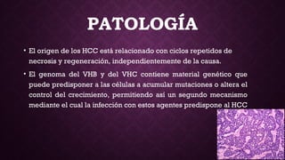 PATOLOGÍA
• El origen de los HCC está relacionado con ciclos repetidos de
necrosis y regeneración, independientemente de la causa. 
• El genoma del VHB y del VHC contiene material genético que
puede predisponer a las células a acumular mutaciones o altera el
control del crecimiento, permitiendo así un segundo mecanismo
mediante el cual la infección con estos agentes predispone al HCC
 