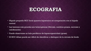 ECOGRAFIAECOGRAFIA
• Hígado pequeño HCC focal aparece hipoecoico en comparación con el hígado
normal
• Las lesiones más grandes son heterogéneas (fibrosis, cambios grasos, necrosis y
calcificación)
• Puede observarse un halo periférico de hipoecogenicidad (grasa)
• El HCC difuso puede ser difícil de identificar o distinguir de la cirrosis de fondo
 
