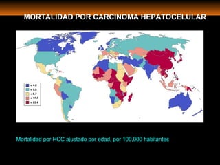 Mortalidad por HCC ajustado por edad, por 100,000 habitantes
MORTALIDAD POR CARCINOMA HEPATOCELULAR
 