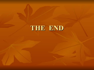 THE  END 