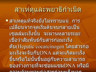 สาเหตุและพยาธิกำเนิด สาเหตุแท้จริงยังไม่ทราบแน่  การเปลี่ยนจากจุดเริ่มต้นจนกลายเป็นเซลล์มะเร็งนั้น  จะผ่านหลายระยะ เชื่อว่าสัมพันธ์กับสารก่อมะเร็งตับ ( Hepatic cocarcinogen  โดยสารก่อมะเร็งจะจับกับ DNA  แต่จะเกิดมะเร็งขึ้นหรือไม่นั้นขึ้นอยู่กับความสามารถของร่างกายที่จะซ่อมแซม DNA  หรือมีความต้านทานต่อสารก่อมะเร็งมากเพียงใด 