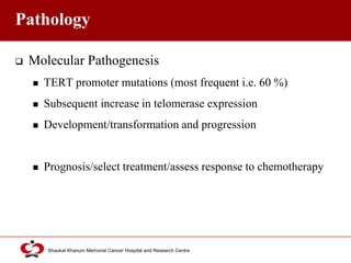 Click to edit Master title style
Shaukat Khanum Memorial Cancer Hospital and Research Centre
Pathology
 Molecular Pathogenesis
 TERT promoter mutations (most frequent i.e. 60 %)
 Subsequent increase in telomerase expression
 Development/transformation and progression
 Prognosis/select treatment/assess response to chemotherapy
 