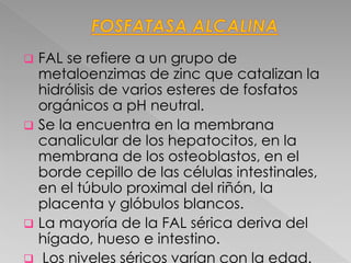  FAL se refiere a un grupo de
metaloenzimas de zinc que catalizan la
hidrólisis de varios esteres de fosfatos
orgánicos a pH neutral.
 Se la encuentra en la membrana
canalicular de los hepatocitos, en la
membrana de los osteoblastos, en el
borde cepillo de las células intestinales,
en el túbulo proximal del riñón, la
placenta y glóbulos blancos.
 La mayoría de la FAL sérica deriva del
hígado, hueso e intestino.
 Los niveles séricos varían con la edad.
 