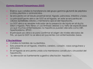 Gamma Glutamil Transaminasa (GGT)
 Enzima que cataliza la transferencia del grupo gamma-glutamil de péptidos
a otros péptidos o aminoácidos.
 Se encuentra en el túbulo proximal renal, hígado, páncreas, intestino y bazo.
 La principal fuente sérica de GGT es el hígado, en este se encuentra en
células epiteliliales biliares y membrana apical del hepatocito.
 La GGT sérica es sensible indicador de la presencia de injuria en el ducto
biliar o hígado. Pero tiene un uso limitado debido a su falta de especificidad
ya que muchas enfermedades no hepáticas pueden elevarla como DBT,
hipertiroidismo, EPOC.
 El principal uso clínico es para confirmar el origen de niveles elevados de
FAL, ya que la GGT no se eleva en pacientes con enfermedades óseas.
5´Nucleotidasa
 Cataliza la hidrólisis de nucleótidos.
 Esta presente en el hígado, intestino, cerebro, corazón, vasos sanguíneos y
páncreas.
 En el hígado se encuentra unido a la membrana canalicular y sinusoidal del
hepatocito.
 Su elevación es fuertemente sugestivo afectación hepática
 