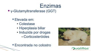 Enzimas
 γ-Glutamyltransferase (GGT)
Elevada em:
• Colestase
• Hiperplasia biliar
• Induzida por drogas
–Corticosteróides
Encontrada no colostro
 