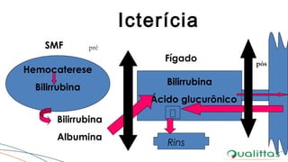 Icterícia
Hemocaterese
Bilirrubina
SMF
Bilirrubina
+ Ácido glucurônico
Fígado
Bilirrubina
Albumina
Rins
pré
pós
 