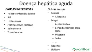 Doença hepática aguda
CAUSAS INFECCIOSAS
• Hepatite infecciosa canina
• PIF
• Leptospirosa
• Platynosomum fastosum
• Salmonelose
• Toxoplasmose
Outras causas
• Toxinas
– Aflatoxina
• Drogas
– Acetaminofen
– Benzodiazepinicos orais
(gato)
– Mitotane
– Sulfas
– ...
• Isquemia
• Lipidose
 