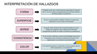 INTERPRETACIÓN DE HALLAZGOS
FORMA
SUPERFICIE
BORDE
CONSISTENCIA
DOLOR
El hígado suele estar uniformemente agrandado de tamaño,
pero a veces se palpa un agrandamiento localizado debido a
un tumor, quiste o un absceso.
Es lisa, se puede palpar múltiples nódulos causados por
metástasis o una cirrosis macronodular
Es agudo. Todo aumento del contenido hepático sea por
congestión sanguínea, bilis, inflamación amiloidea
transforman su borde en rombo y aumenta su consistencia.
En la cirrosis, la fibrosis y retracción del hígado aumenta la
consistencia, pero el borde se mantiene cortante. en el
hígado graso la consistencia esta disminuida.
Si la cápsula de glisson se distiende en forma aguda, aparece
dolor espontáneo y a la palpación.
 