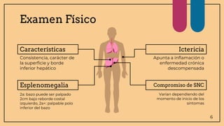 Hepatomegalia.pptx