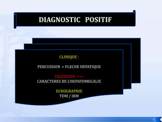 DIAGNOSTIC POSITIF




          CLINIQUE :

PERCUSSION = FLECHE HEPATIQUE

       PALPATION +++
CARACTERES DE L’HEPATOMEGALIE

        ECHOGRAPHIE
          TDM / IRM
 