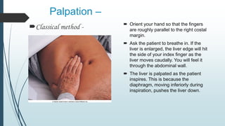 Palpation –
Classical method -  Orient your hand so that the fingers
are roughly parallel to the right costal
margin.
 Ask the patient to breathe in. If the
liver is enlarged, the liver edge will hit
the side of your index finger as the
liver moves caudally. You will feel it
through the abdominal wall.
 The liver is palpated as the patient
inspires. This is because the
diaphragm, moving inferiorly during
inspiration, pushes the liver down.
 