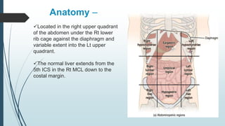 Anatomy –
Located in the right upper quadrant
of the abdomen under the Rt lower
rib cage against the diaphragm and
variable extent into the Lt upper
quadrant.
The normal liver extends from the
5th ICS in the Rt MCL down to the
costal margin.
 