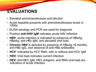 EVALUATIONS
• Elevated aminotransferases and bilirubin
• Acute hepatitis presents with aminotransferases levels in
1000s
• ELISA serology and PCR are used for diagnosis
• Positive anti-HAV IgM indicates acute HAV infection
• HBV: acute infection is indicated by presence of HBsAg,
HBeAg, anti-HBc IgM, and elevated viral load
• Chronic HBV is denoted by presence of HBsAg >6 months,
anti-HBc IgG, and absence of anti-HBs antibodies
• HCV: indicated by HCV RNA, with or without anti-HCV IgM
• HDV: Viral load indicates current infection
• HEV: anti-HEV IgM, HEV antigens, and RNA viral load are
indicative of acute infection
 