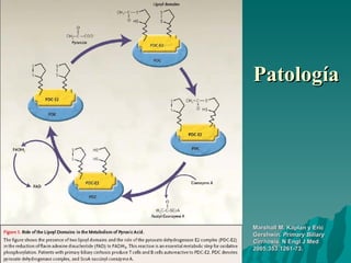 Patología Marshall M. Kaplan y Eric Gershwin.  Primary Biliary Cirrhosis.  N Engl J Med 2005;353:1261-73. 