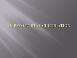 Anatomy of Hepato portal circulation