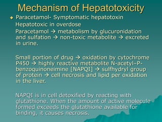 Hepatoprotective drugs, a detailed discussion..ppt Hepatoprotective drugs, a detailed discussion..ppt