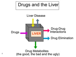 Drugs
Liver Disease
Drug Metabolites
(the good, the bad and the ugly)
Drug Elimination
Drugs and the Liver
Drug-Drug
Interactions
LIVER
5
 