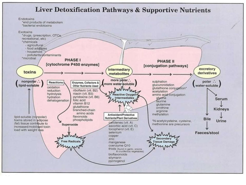 Hepatoprotective agents
