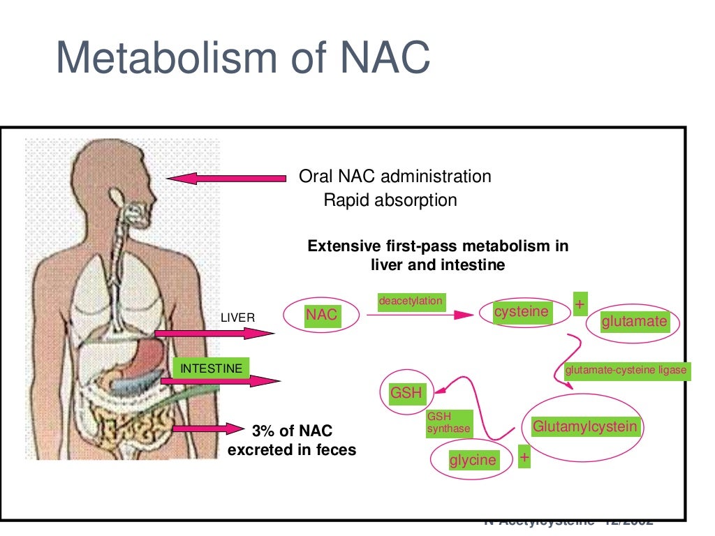 Hepatoprotective agents