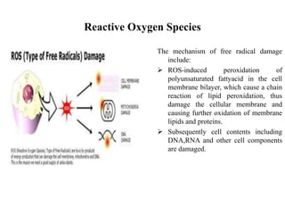 Reactive Oxygen Species
The mechanism of free radical damage
include:
 ROS-induced peroxidation of
polyunsaturated fattyacid in the cell
membrane bilayer, which cause a chain
reaction of lipid peroxidation, thus
damage the cellular membrane and
causing further oxidation of membrane
lipids and proteins.
 Subsequently cell contents including
DNA,RNA and other cell components
are damaged.
 