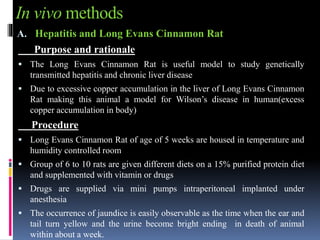 In vivo methods
A. Hepatitis and Long Evans Cinnamon Rat
Purpose and rationale
 The Long Evans Cinnamon Rat is useful model to study genetically
transmitted hepatitis and chronic liver disease
 Due to excessive copper accumulation in the liver of Long Evans Cinnamon
Rat making this animal a model for Wilson’s disease in human(excess
copper accumulation in body)
Procedure
 Long Evans Cinnamon Rat of age of 5 weeks are housed in temperature and
humidity controlled room
 Group of 6 to 10 rats are given different diets on a 15% purified protein diet
and supplemented with vitamin or drugs
 Drugs are supplied via mini pumps intraperitoneal implanted under
anesthesia
 The occurrence of jaundice is easily observable as the time when the ear and
tail turn yellow and the urine become bright ending in death of animal
within about a week.
 