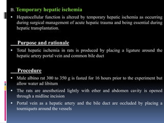 B. Temporary hepatic ischemia
 Hepatocellular function is altered by temporary hepatic ischemia as occurring
during surgical management of acute hepatic trauma and being essential during
hepatic transplantation.
Purpose and rationale
 Total hepatic ischemia in rats is produced by placing a ligature around the
hepatic artery portal vein and common bile duct
Procedure
 Male albino rat 300 to 350 g is fasted for 16 hours prior to the experiment but
allow water ad libitum
 The rats are anesthetized lightly with ether and abdomen cavity is opened
through a midline incision
 Portal vein as a hepatic artery and the bile duct are occluded by placing a
tourniquets around the vessels
 