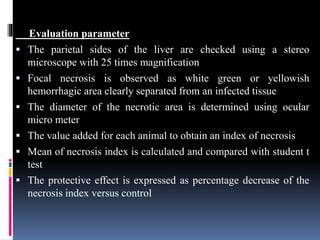 Evaluation parameter
 The parietal sides of the liver are checked using a stereo
microscope with 25 times magnification
 Focal necrosis is observed as white green or yellowish
hemorrhagic area clearly separated from an infected tissue
 The diameter of the necrotic area is determined using ocular
micro meter
 The value added for each animal to obtain an index of necrosis
 Mean of necrosis index is calculated and compared with student t
test
 The protective effect is expressed as percentage decrease of the
necrosis index versus control
 