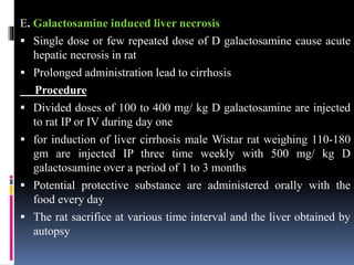 E. Galactosamine induced liver necrosis
 Single dose or few repeated dose of D galactosamine cause acute
hepatic necrosis in rat
 Prolonged administration lead to cirrhosis
Procedure
 Divided doses of 100 to 400 mg/ kg D galactosamine are injected
to rat IP or IV during day one
 for induction of liver cirrhosis male Wistar rat weighing 110-180
gm are injected IP three time weekly with 500 mg/ kg D
galactosamine over a period of 1 to 3 months
 Potential protective substance are administered orally with the
food every day
 The rat sacrifice at various time interval and the liver obtained by
autopsy
 