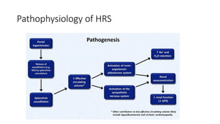 Comprehensive Overview of Hepatorenal and Hepatopulmonary Syndromes ...
