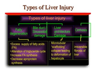 Types of Liver Injury Fatty degeneration Bile duct / Sinusoidal damage Liver architecture Damage Cirrhosis Excess  supply of fatty acids (FA) Alteration of triglyceride cycle  Increase FA synthesis  Decrease aproprotein synthesis Microtubular “scaffolding” collapse leading to deformation of hepatocyte irreversible fibrosis of liver Types of liver injury 