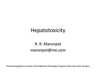 Hepatotoxicity
R. R. Maronpot
maronpot@me.com
Photomicrographs courtesy of the National Toxicology Program (http://ntp.niehs.nih.gov)
 