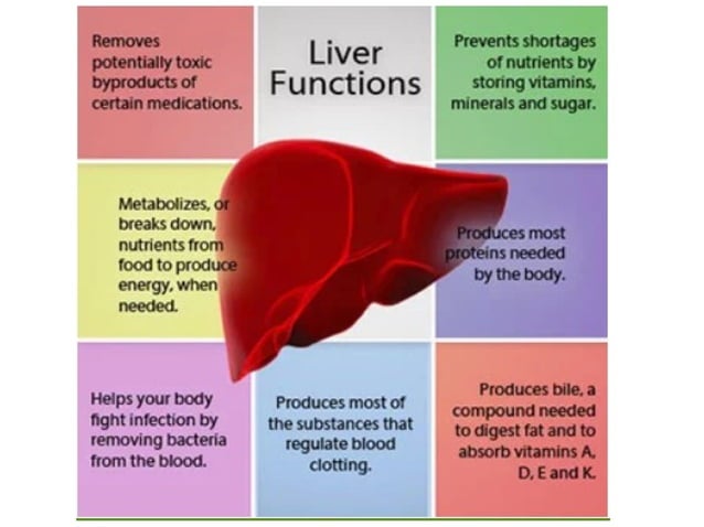 Hepatotoxicity