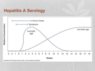 Hepatitis A Serology
 