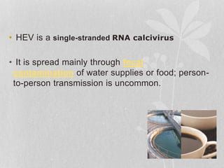 • HEV is a single-stranded RNA calcivirus
• It is spread mainly through fecal
contamination of water supplies or food; person-
to-person transmission is uncommon.
 