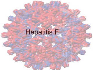 Hepatitis F
 