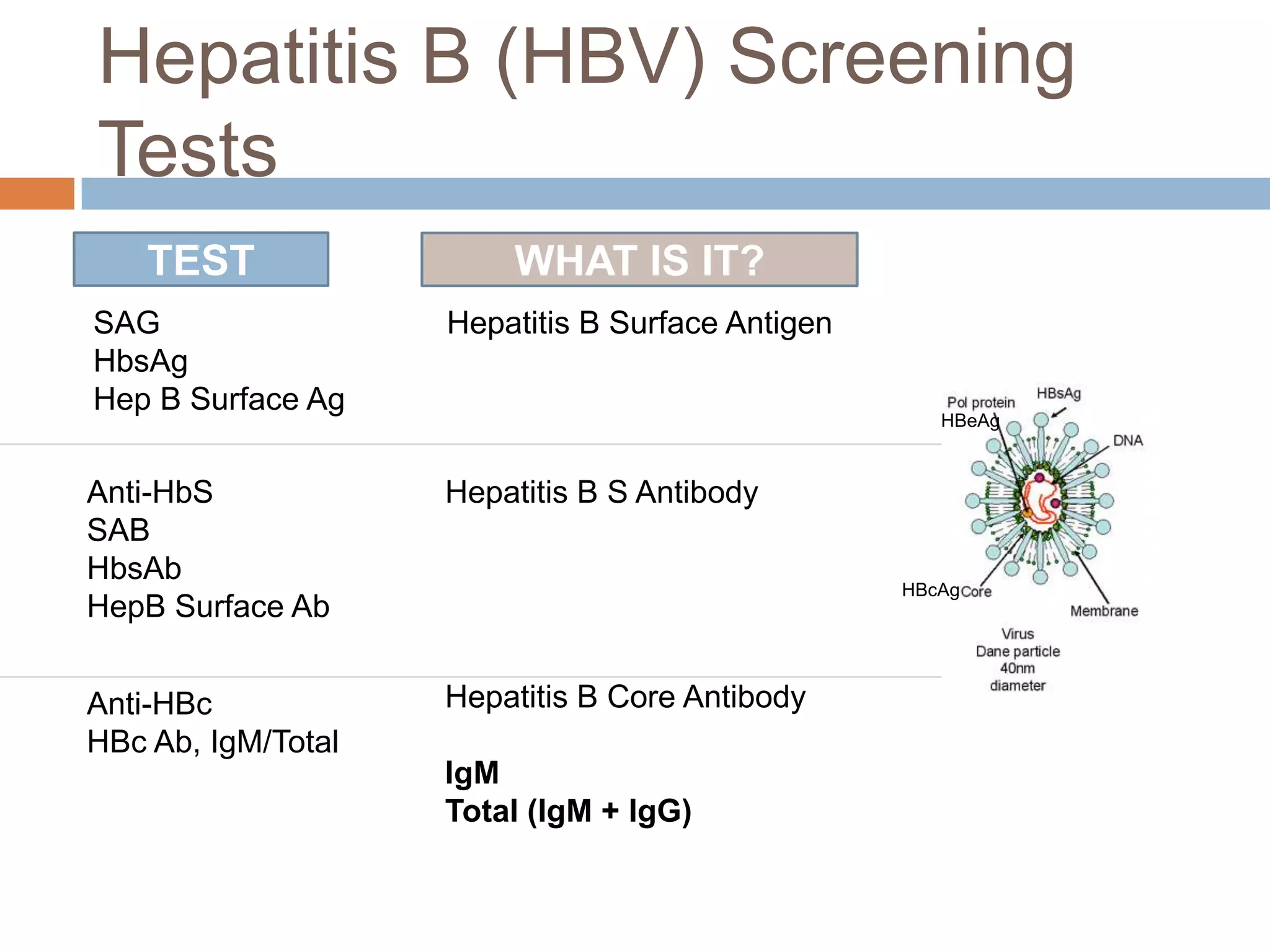 Hepatitis B (HBV) Screening
Tests
    TEST                WHAT IS IT?
SAG                 Hepatitis B Surface Antigen
HbsAg
Hep B Surface Ag
                                                     HBeAg



Anti-HbS            Hepatitis B S Antibody
SAB
HbsAb
                                                  HBcAg
HepB Surface Ab


Anti-HBc            Hepatitis B Core Antibody
HBc Ab, IgM/Total
                    IgM
                    Total (IgM + IgG)
 