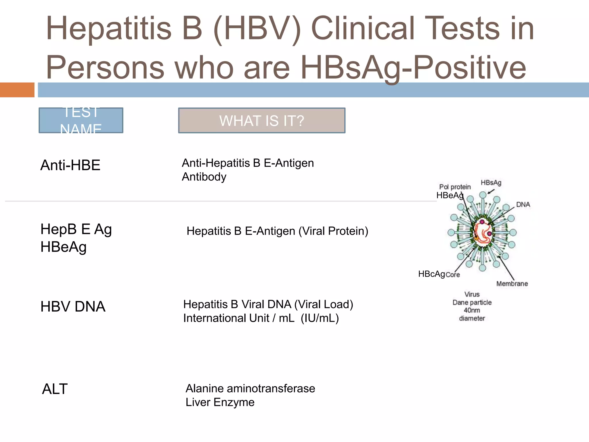 Hepatitis B (HBV) Clinical Tests in
Persons who are HBsAg-Positive
  TEST
                   WHAT IS IT?
  NAME

Anti-HBE    Anti-Hepatitis B E-Antigen
            Antibody
                                                       HBeAg



HepB E Ag   Hepatitis B E-Antigen (Viral Protein)
HBeAg
                                                    HBcAg



HBV DNA     Hepatitis B Viral DNA (Viral Load)
            International Unit / mL (IU/mL)




ALT         Alanine aminotransferase
            Liver Enzyme
 