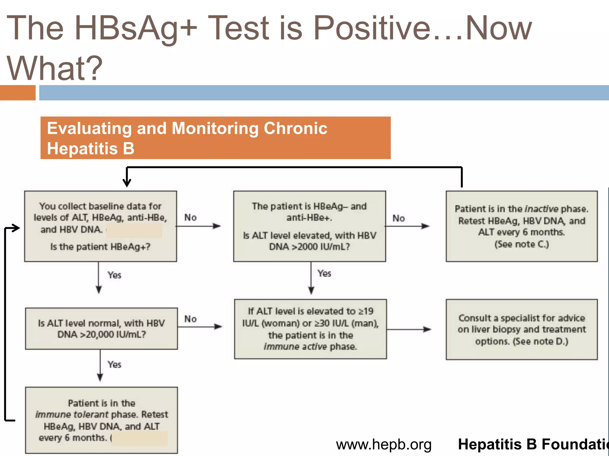 The HBsAg+ Test is Positive…Now
What?
  Evaluating and Monitoring Chronic
  Hepatitis B




                                      www.hepb.org   Hepatitis B Foundatio
 