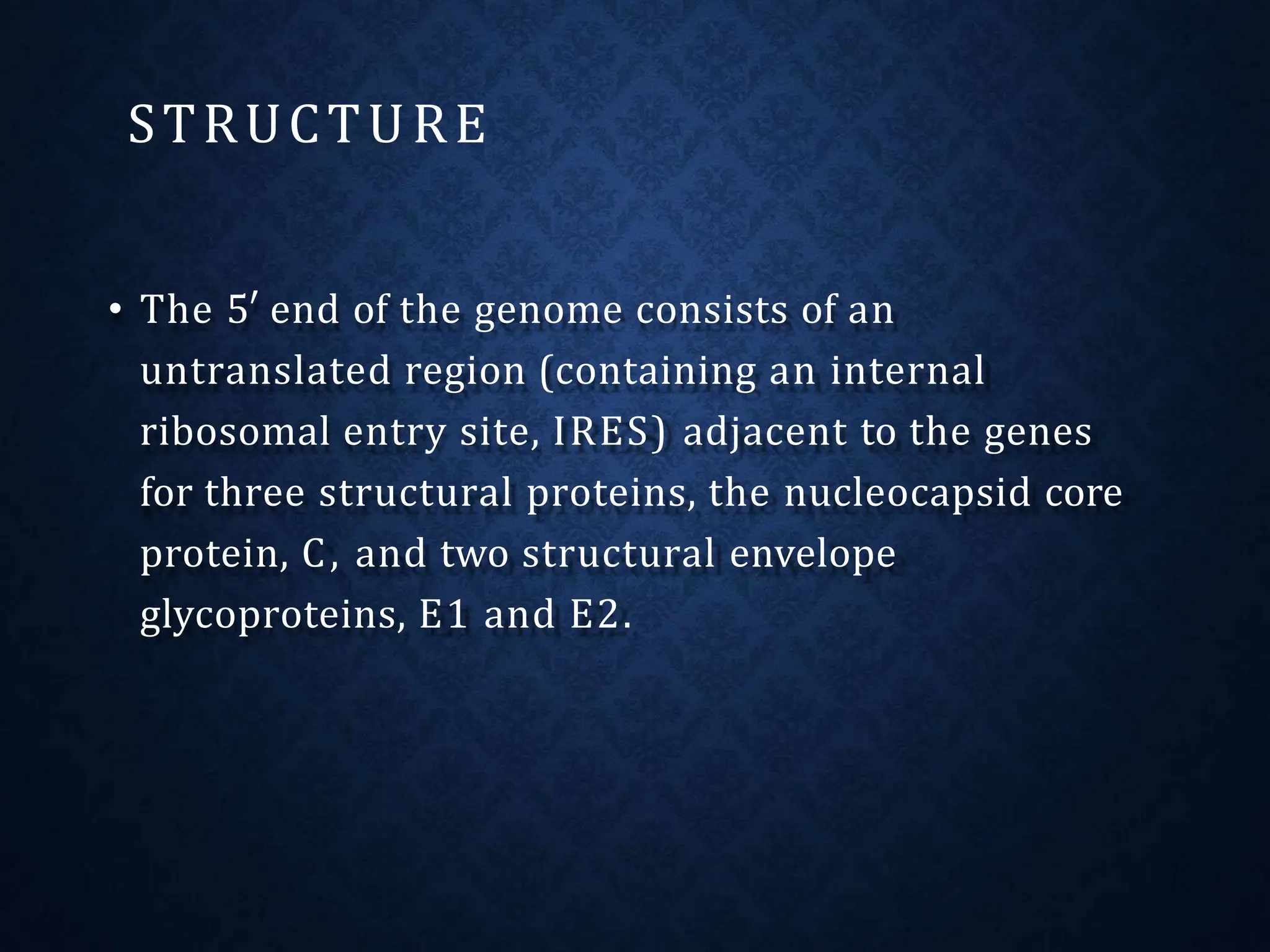 • The 5′ end of the genome consists of an
untranslated region (containing an internal
ribosomal entry site, IRES) adjacent to the genes
for three structural proteins, the nucleocapsid core
protein, C, and two structural envelope
glycoproteins, E1 and E2.
STRUCTURE
 