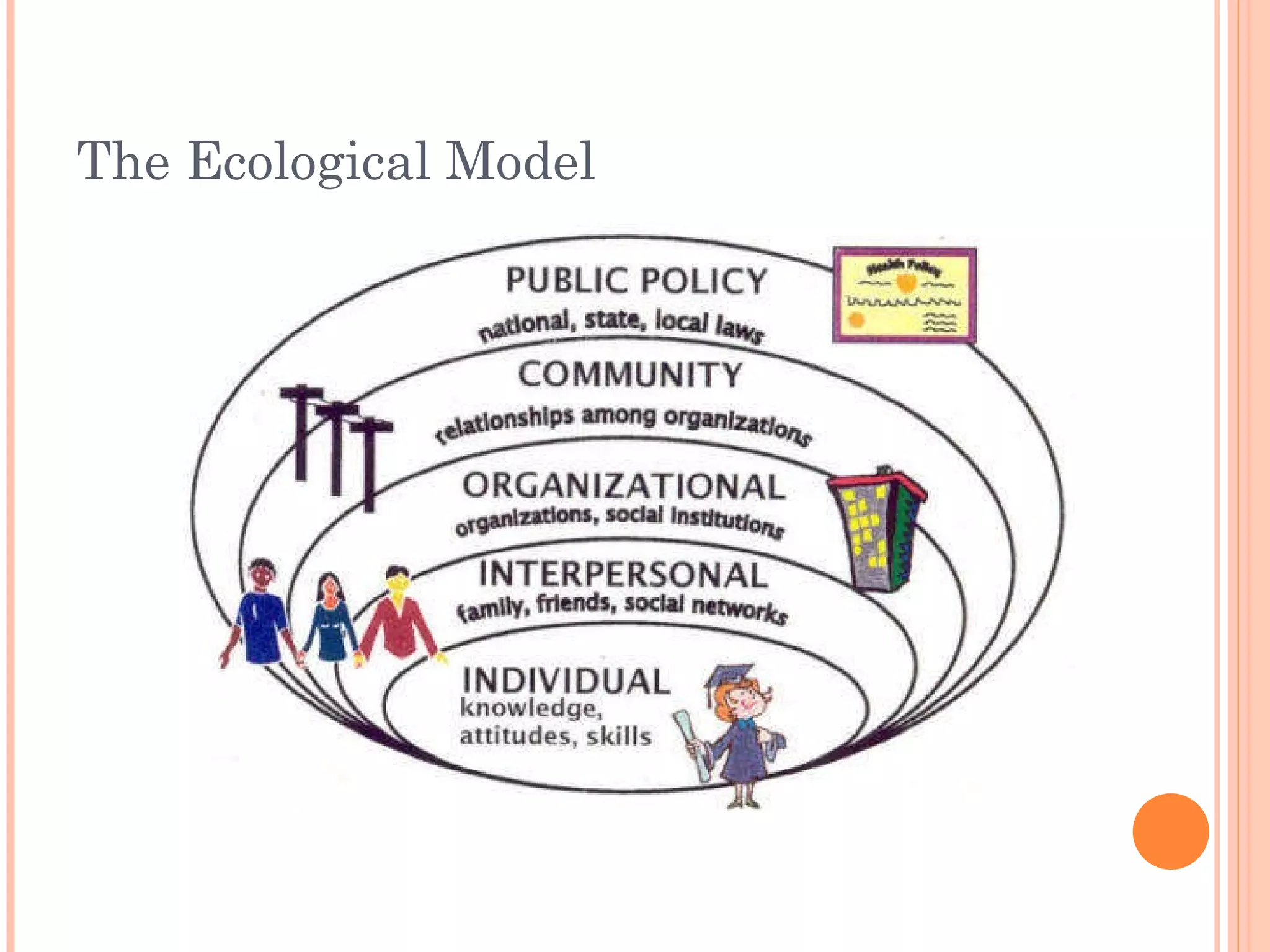 The Ecological Model 