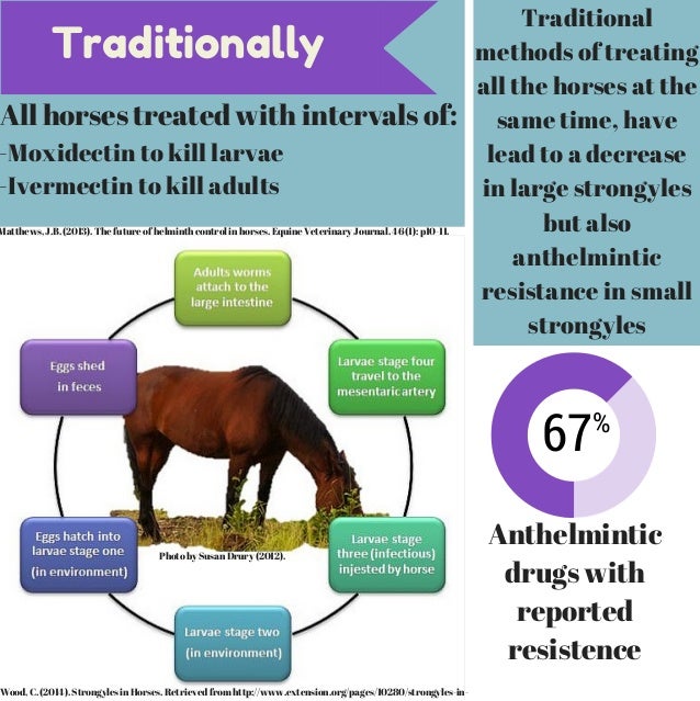 Strongyle Control in Horses