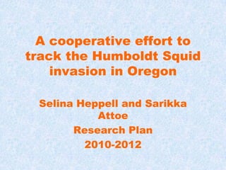 A cooperative effort to track the Humboldt Squid invasion in Oregon Selina Heppell and Sarikka Attoe Research Plan 2010-2012 