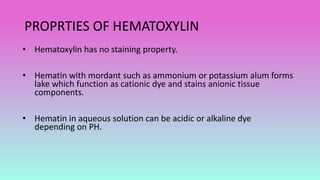 PROPRTIES OF HEMATOXYLIN
• Hematoxylin has no staining property.
• Hematin with mordant such as ammonium or potassium alum forms
lake which function as cationic dye and stains anionic tissue
components.
• Hematin in aqueous solution can be acidic or alkaline dye
depending on PH.
 