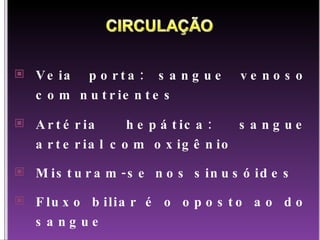 Veia porta: sangue venoso com nutrientes Artéria hepática: sangue arterial com oxigênio Misturam-se nos sinusóides Fluxo biliar é o oposto ao do sangue 