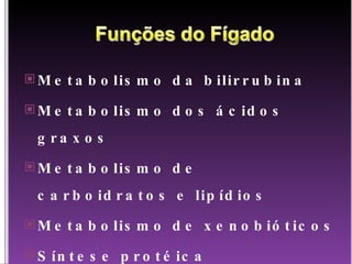 Metabolismo da bilirrubina Metabolismo dos ácidos graxos Metabolismo de carboidratos e lipídios Metabolismo de xenobióticos Síntese protéica 