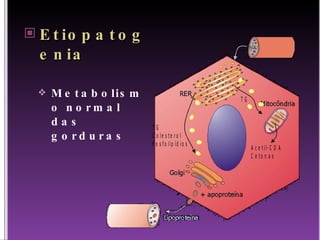 Etiopatogenia Metabolismo normal das gorduras 