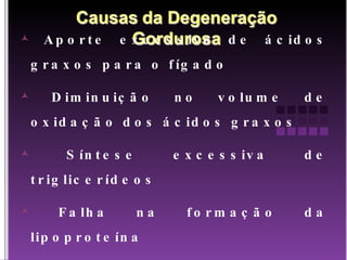 Aporte excessivo de ácidos graxos para o fígado Diminuição no volume de oxidação dos ácidos graxos Síntese excessiva de triglicerídeos Falha na formação da lipoproteína 
