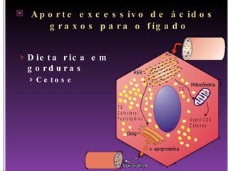 Aporte excessivo de ácidos graxos para o fígado Dieta rica em gorduras Cetose 